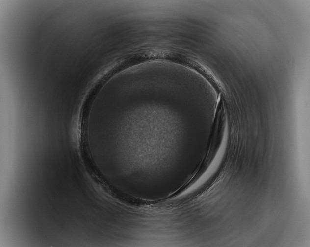 X0000094940722200712061230