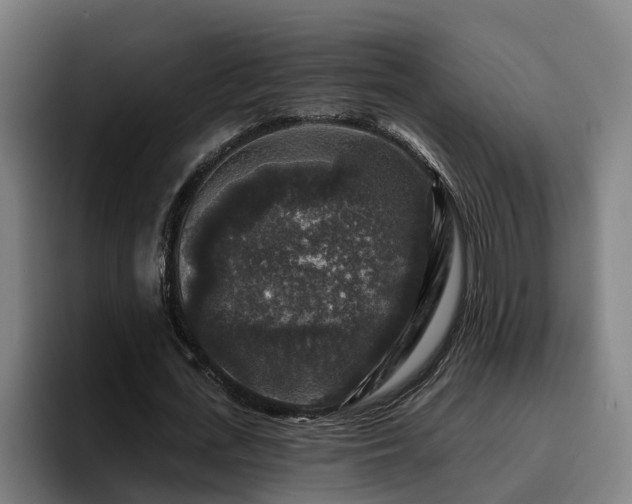 X0000094940723200712061230