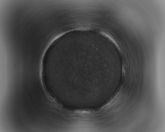 X0000094940724200712061230