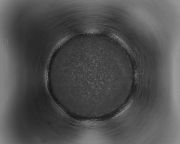 X0000094940725200712061230