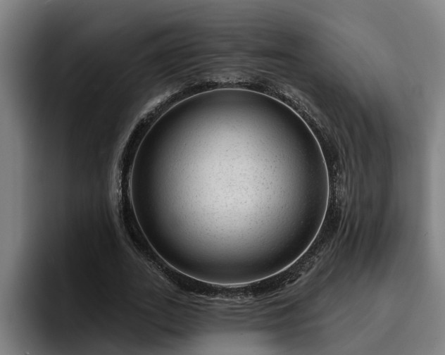 X0000094940727200712061230