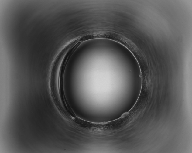 X0000094940728200712061230