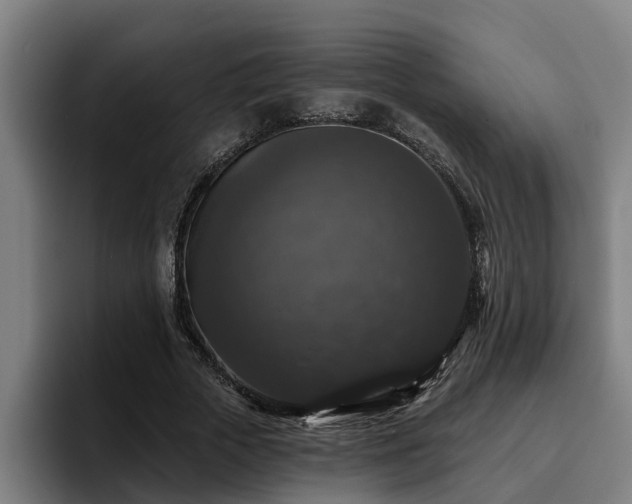 X0000094940729200712061230