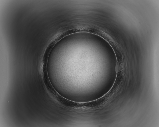 X0000094940730200712061230