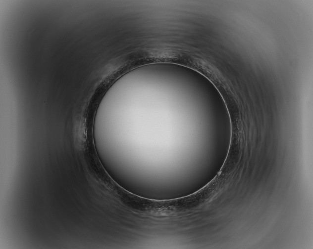 X0000094940731200712061230