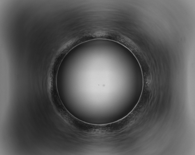 X0000094940732200712061230