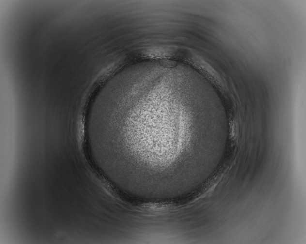 X0000094940733200712061230