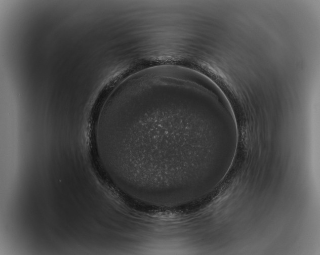 X0000094940735200712061231