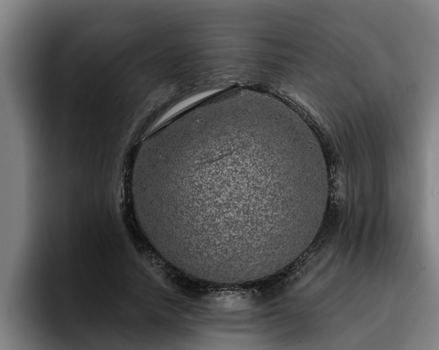 X0000094940738200712061231