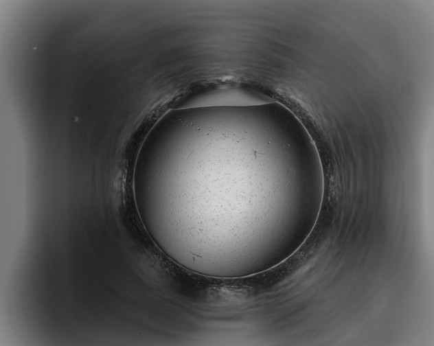 X0000094940739200712061231