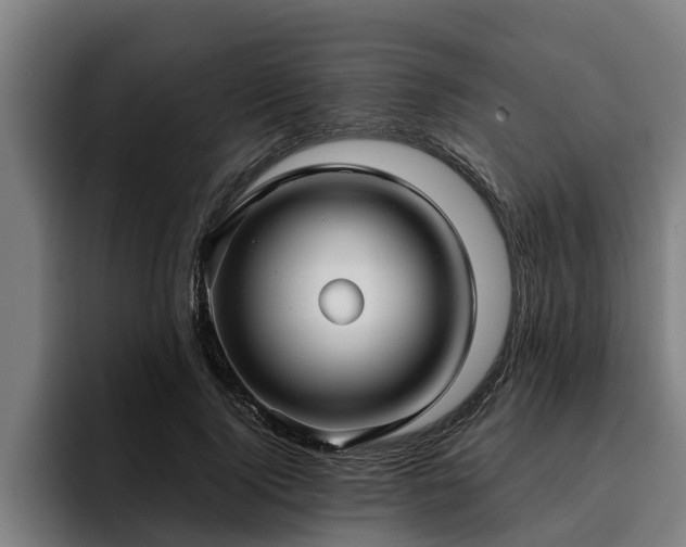 X0000094940740200712061231