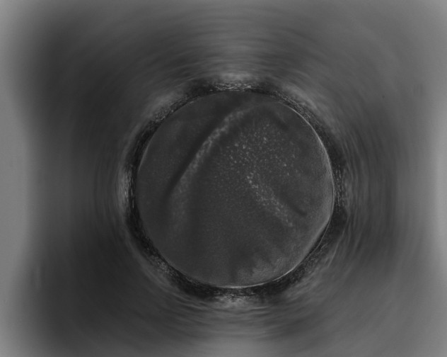 X0000094940742200712061231