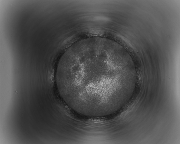 X0000094940745200712061231