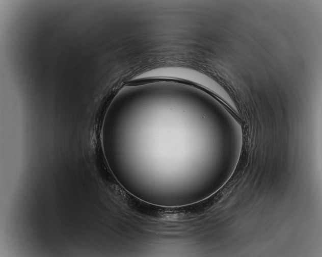 X0000094940746200712061231