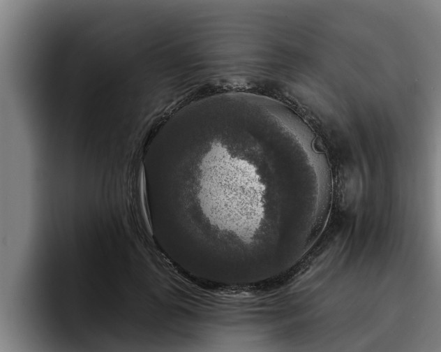 X0000094940747200712061231