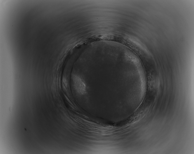 X0000094940748200712061231