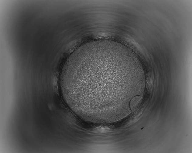 X0000094940749200712061231