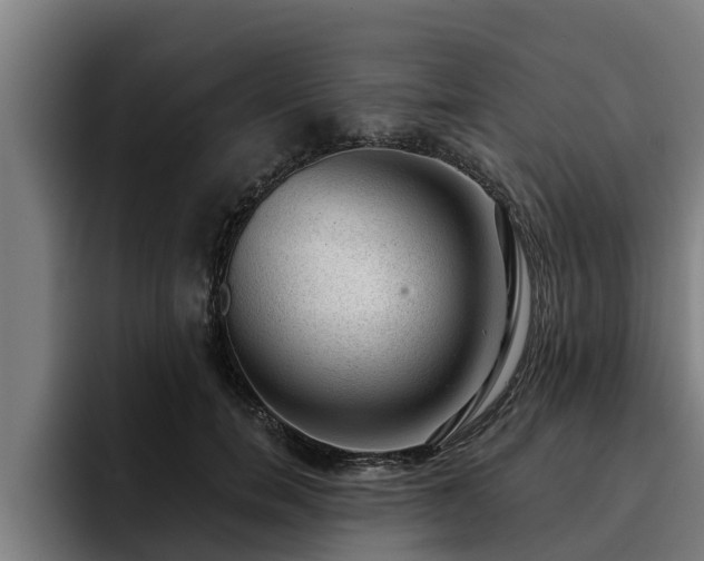 X0000094940750200712061231