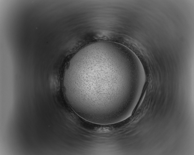 X0000094940751200712061231