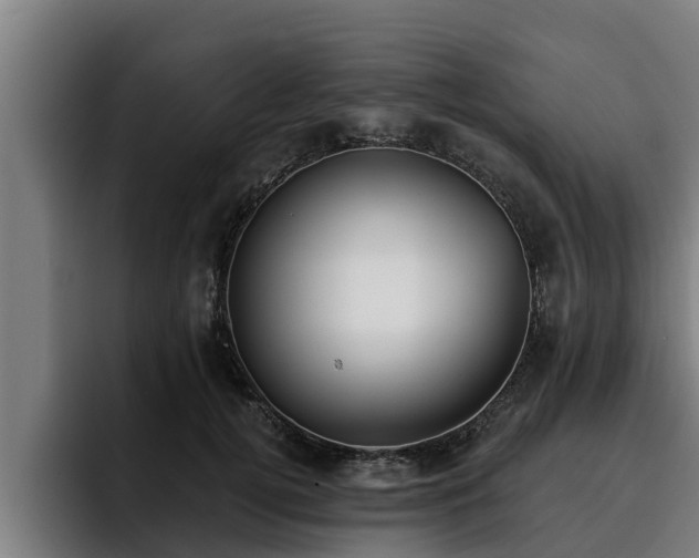 X0000094940752200712061231