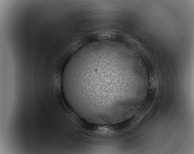 X0000094940753200712061231