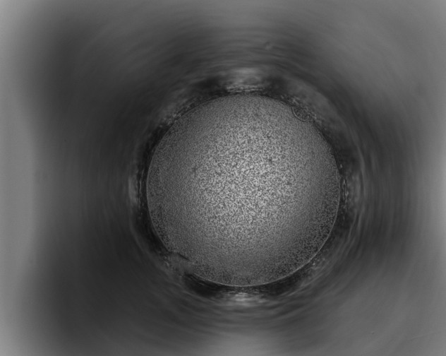 X0000094940755200712061231