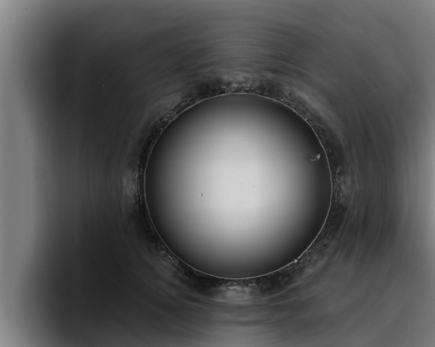 X0000094940756200712061231