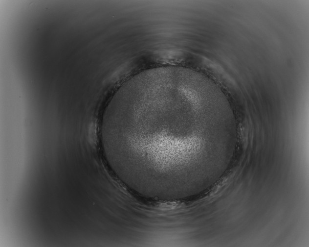 X0000094940757200712061231