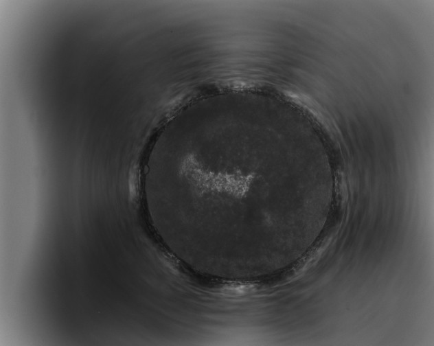 X0000094940760200712061231