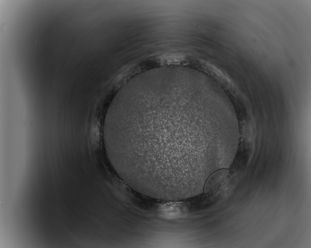 X0000094940761200712061231