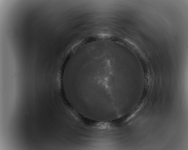 X0000094940762200712061231