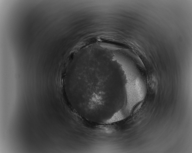 X0000094940763200712061231