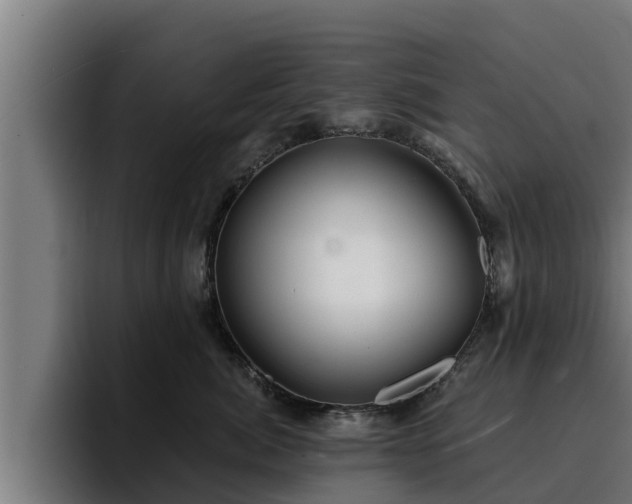 X0000094940764200712061231