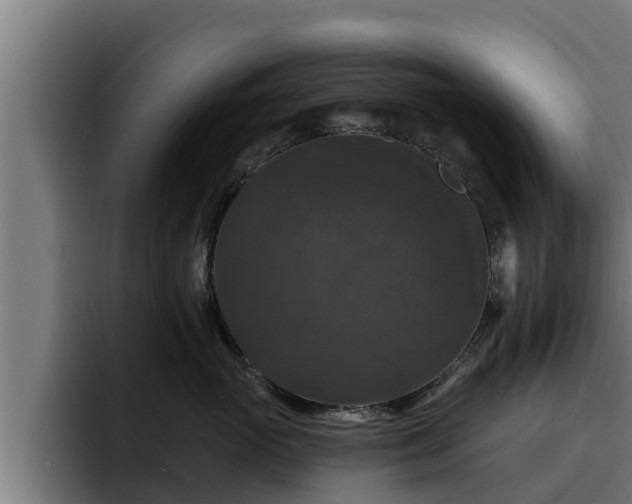 X0000094940765200712061231