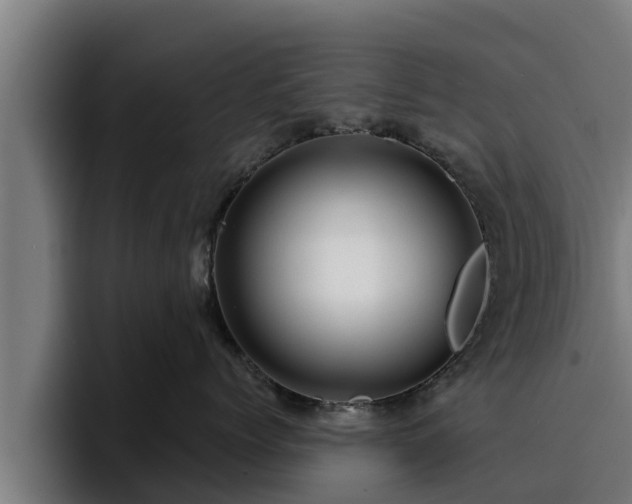 X0000094940768200712061231