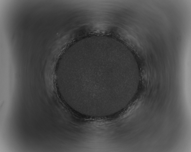 X0000094940769200712061230