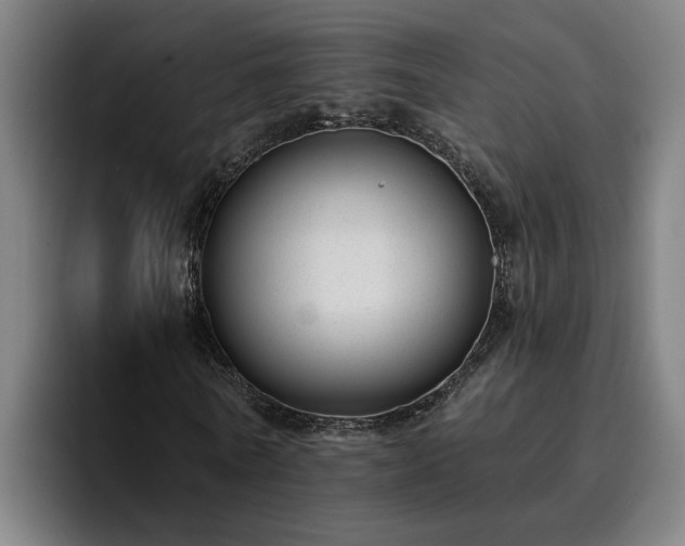 X0000094940770200712061230