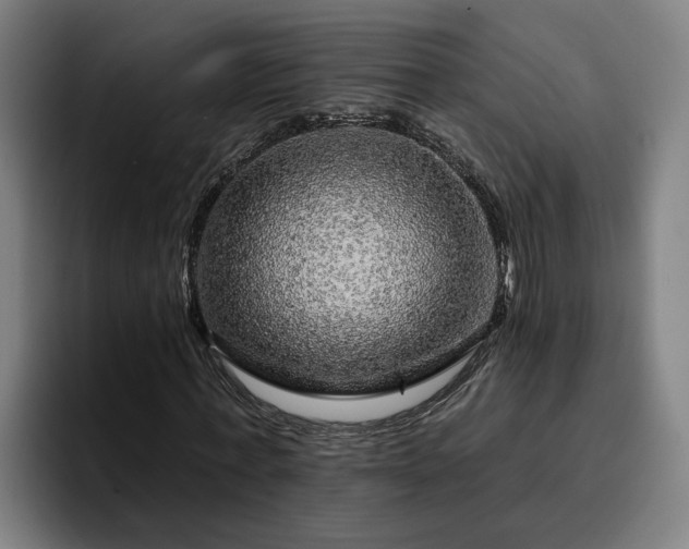 X0000094940771200712061230