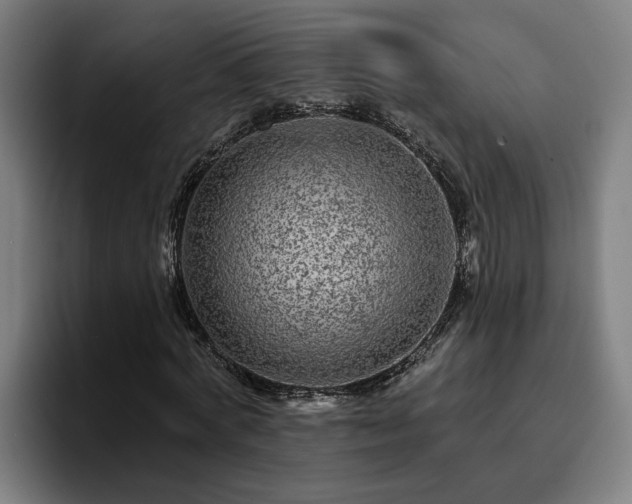 X0000094940772200712061230