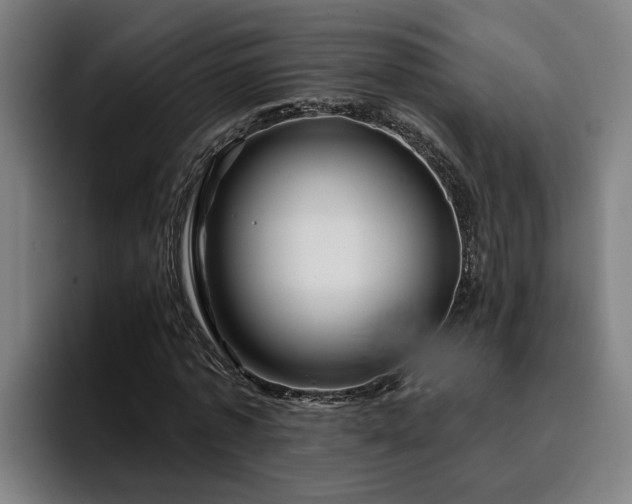 X0000094940773200712061230