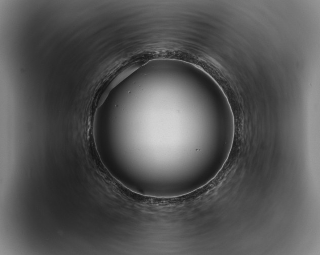 X0000094940774200712061230