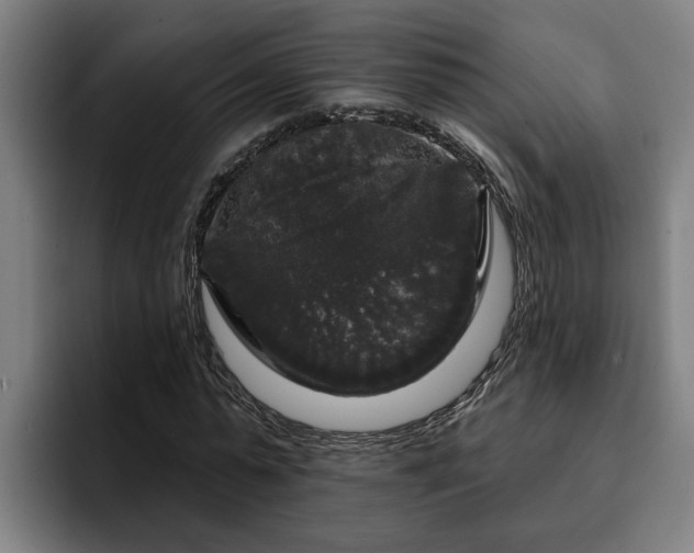 X0000094940775200712061230