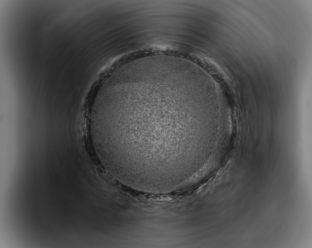 X0000094940776200712061230