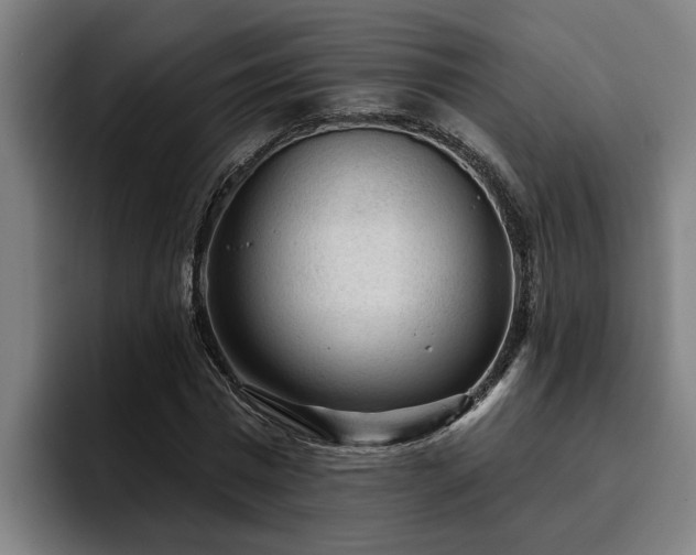 X0000094940777200712061230