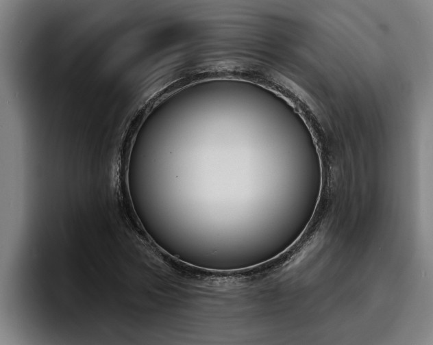 X0000094940778200712061230