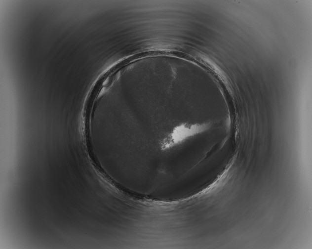 X0000094940779200712061230