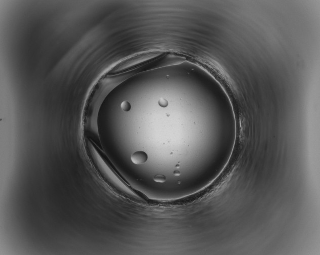 X0000094940780200712061230