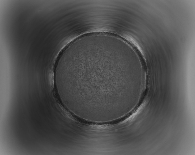 X0000094940781200712061230