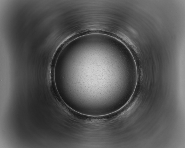 X0000094940782200712061230