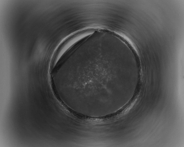 X0000094940783200712061230